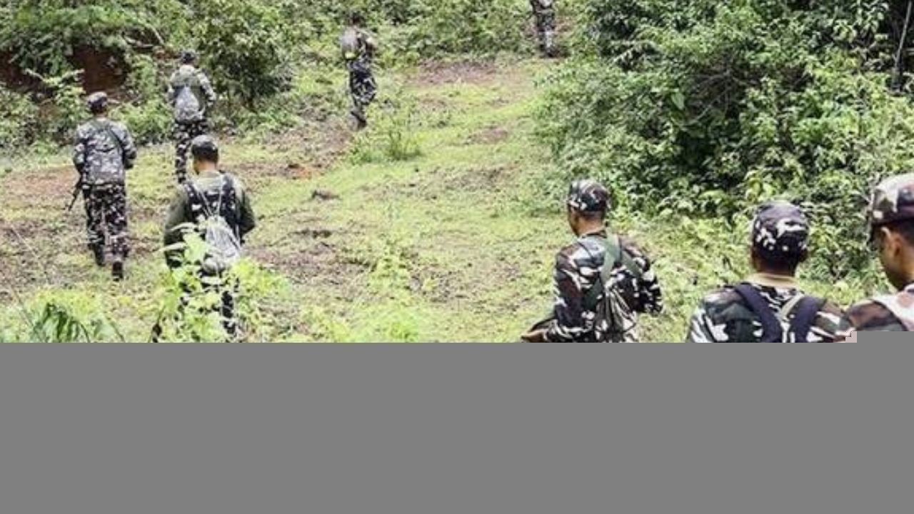 16 Maoists Surrender Before Jharkhand Police Under Anti-Naxal Campaign