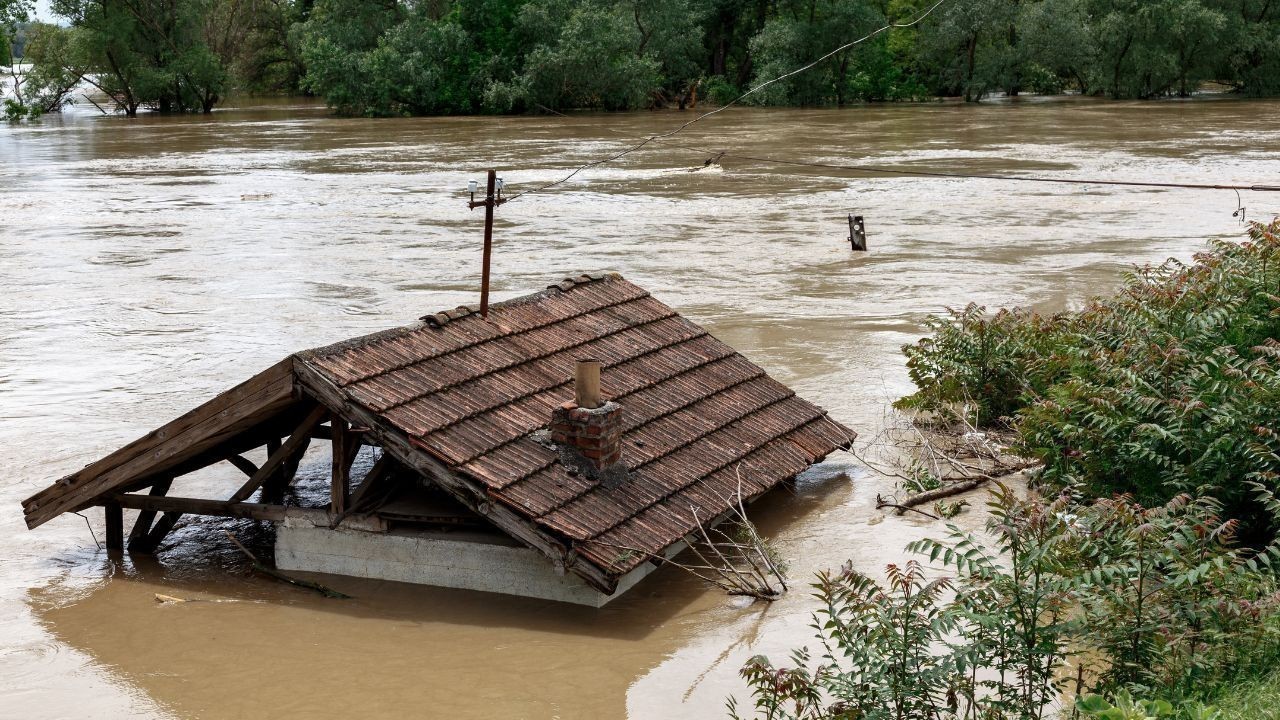 Bihar Flood Alert: Rivers Rise Above Danger Mark, Low-Lying Areas Flooded
