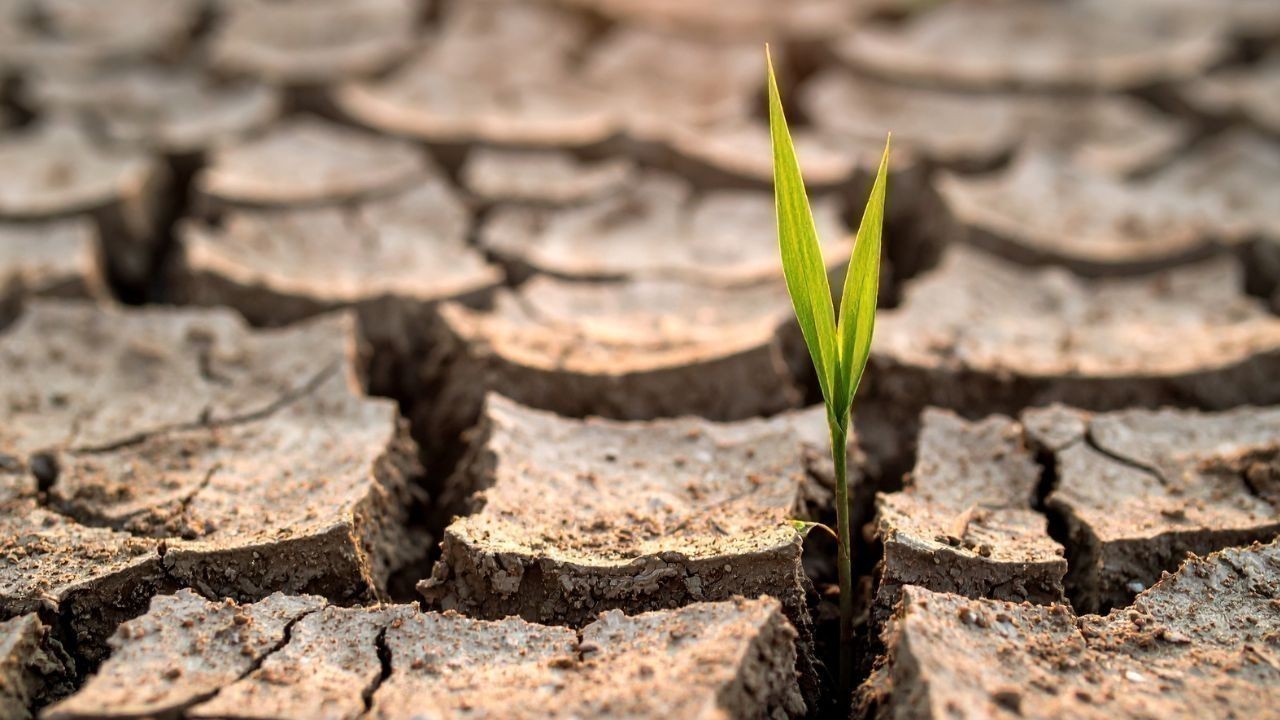 Maharashtra Declares Drought In 265 Talukas, Relief Measures Announced